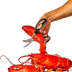 Seafood Scissors -KitchenCraft Deals Store gg 11350600 seafoodscissors 03 p